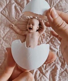 a baby in an egg shell being held by someone