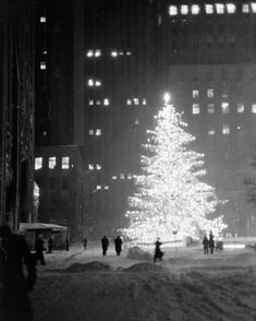 people are walking in the snow near a large christmas tree at night with lights on it