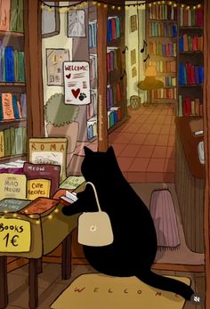 a black cat sitting on top of a rug in front of a book store filled with books