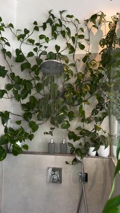 a shower head with plants growing on the wall and in the bathtub next to it