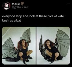 two pictures of a woman with umbrellas on her feet, and the caption says everyone stop and look at these pics of kate bush as a bat