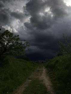 a dirt road that is next to a field with trees and clouds in the background