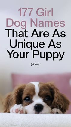 Finding the perfect name for your puppy can be difficult. Listed below are 178 unique girl dog names that are sure to stand out. Pretty Names For Dogs, Nature, Top 100 Female Dog Names, Good Names For Dogs, Female Puppy Names List, Unique Dog Names Female, Cutest Puppy Names, Unique Girl Dog Names List, Girly Dog Names