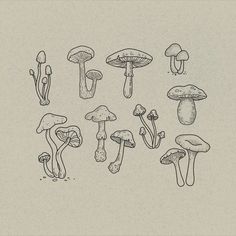 Cute small simple black botanical line drawings of mushroom illustrations for tattoo flash sheet, with stippling and etching style, done on Procreate Small Hand Drawn Tattoos, Mushroom Flash Tattoo Simple, Micro Mushroom Tattoo, Small Matching Mushroom Tattoos, Mushroom Linework Tattoo, Mushroom Tattoo Minimalist, Mushroom Flash Art, Mushroom Tattoo Fine Line, Mushroom Spine Tattoo