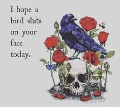 Bad Humor, Bird Quotes, Adult Coloring Book Pages, Dirty Mind, My Posts, Work Quotes, I Feel Good