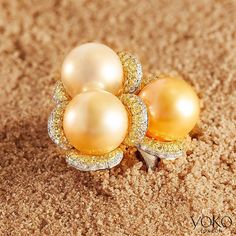 Yoko London (@yokolondonpearls) • Instagram photos and videos London, Golden South Sea Pearls, South Sea Pearls, Yellow Diamond, Pearl Jewelry, Pearl Earrings, Fine Jewelry, Gems