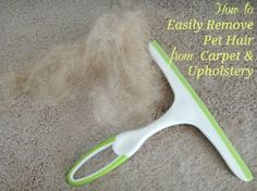 a green and white hair brush laying on the floor with text overlay how to easily remove pet hair from carpet & upholstery