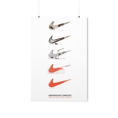 a poster with different types of birds hanging from the ceiling and on top of it