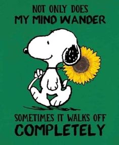 a snoopy dog holding a sunflower with the words, not only does my mind wander sometimes it walks off completely