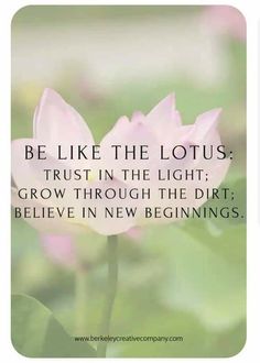 a pink flower with the quote be like the lotus trust in the light grow through the dirt believe in new beginnings