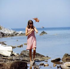 Anna Karina in "Pierrot le fou", directed by Jean Luc Godard, 1965. Jacques Demy, Pictures Of Anna, Anna Karina, French Cinema, Style Muse, French Films, Film Stills