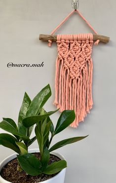 a potted plant sitting next to a pink macrame wall hanging