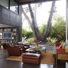a living room filled with lots of furniture and bookshelves next to a tree