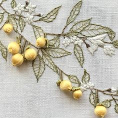 some yellow flowers and leaves on a white cloth