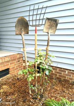 there are three garden tools stuck in the ground