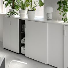 a white cabinet with some plants in it