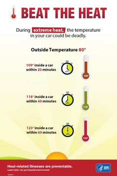 During extreme heat, the temperature in your car could be deadly. Never leave children or pets in cars. Visit CDC's website for more heat safety tips. Environmental Health And Safety, Beat The Heat