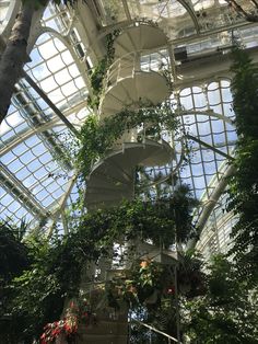 the inside of a building with many plants growing on it