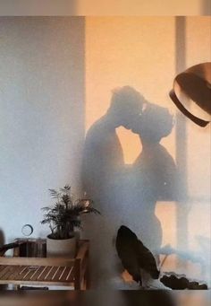 the shadow of a man and woman kissing in front of a window next to a bird