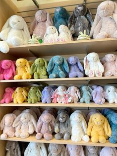 many different colored stuffed animals are on shelves