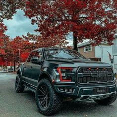 a black truck is parked in front of some trees with red leaves on the ground