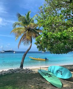 two surfboards sitting on the beach next to a palm tree and boats in the water