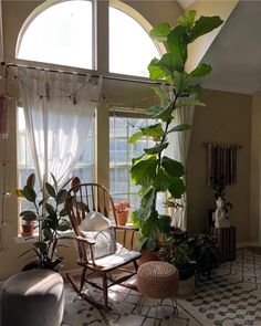 a living room filled with furniture and lots of plants on the window sill,