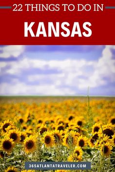 sunflowers with the words, 22 things to do in kansas on top of it