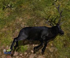 an animal with antlers is running through the grass and rocks in this 3d image