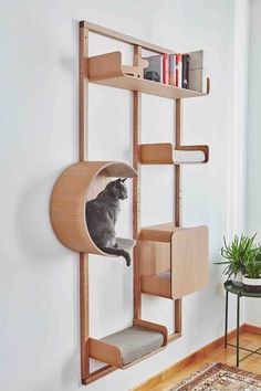 a cat is sitting in a wooden shelf with shelves on the wall and a grey cat inside