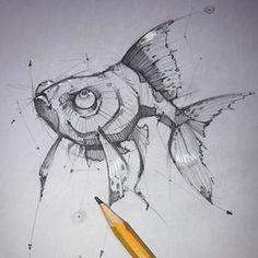 a pencil drawing of a fish on paper