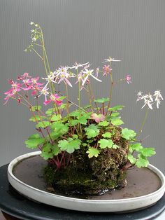 small pink and white flowers in a mossy pot on top of a wooden table