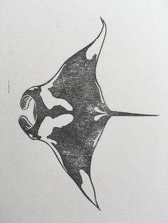 a black and white drawing of a stingfish