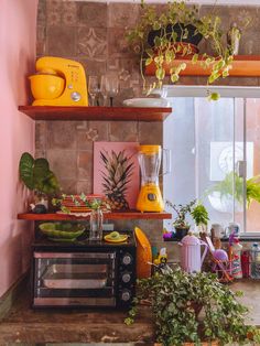 the kitchen is cluttered with plants and other things to cook in it's cooking area