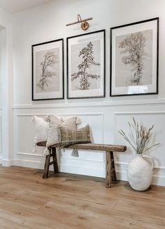 three framed pictures hang on the wall above a bench and vase with plants in it