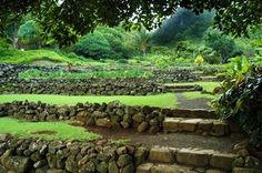 stone steps lead up to a lush green field