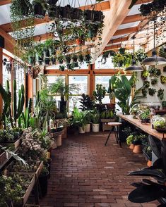 a room filled with lots of potted plants