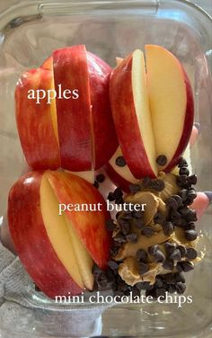apples, peanut butter, and chocolate chips in a plastic container with text overlay