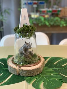 a glass jar with moss and an animal in it on top of a wooden stand