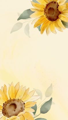 two yellow sunflowers with green leaves on a white background, watercolor painting