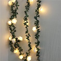 some lights are hanging on the wall with leaves and flowers around them in front of a white background