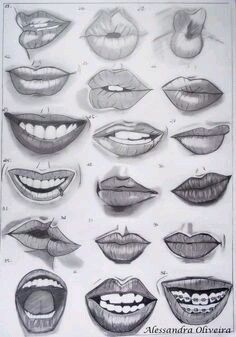 an image of different types of mouth shapes and teeth in various stages of development, from the earliest to the present day