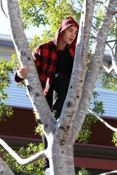 a young man in a red and black plaid ponched on top of a tree