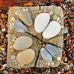 rocks arranged in a circle on top of a piece of wood
