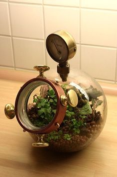 a glass jar filled with plants on top of a wooden table