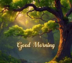 the words good morning are written in front of a forest scene with trees and stream