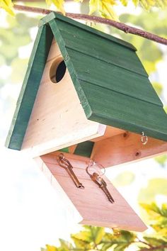 a bird house hanging from a tree branch