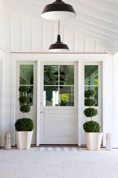 two potted plants sit in front of a white door with glass panels on the side