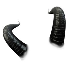 two black horns are shown in the shape of an animal's tail