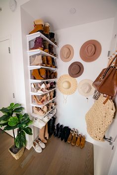 shoes and hats are hanging on the wall next to a potted plant in a corner